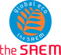 THE SAEM 